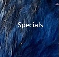 Specials Specials